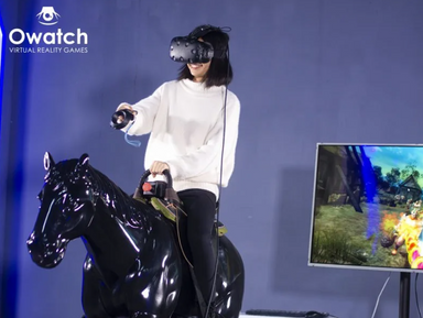 VR War Horse Immersive Gaming Experience